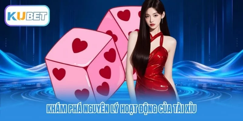 Khám phá nguyên lý hoạt động của tài xỉu