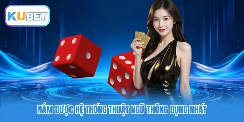 Nắm được hệ thống thuật ngữ thông dụng nhất